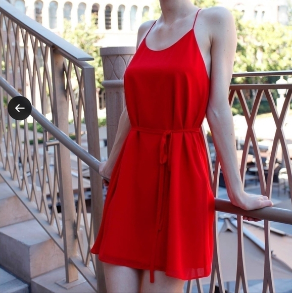 Naked Zebra Red Dress with waist tie - Picture 2 of 6